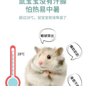 Hamster Ceramic Supplies Golden Bear Cartoon Candy Lucky Bag <b>Nest</b> Ceramic Honey Jar Ice House Hamster <b>Nest</b> - Product Image 6