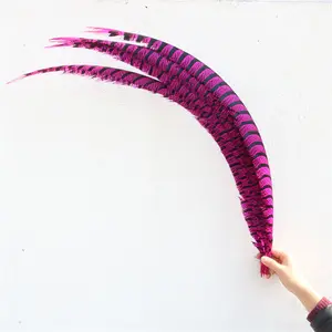 Wholesale Hot Pink Dyed Zebra Lady Pheasant Tail Feathers Carnival Costumes Feathers