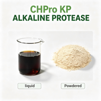 Enzyme Protease Alcaline Fermentée Bacillus Subtilis pour la Production Industrielle de Détergent Cuir