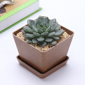 <span class=keywords><strong>Pot</strong></span> <span class=keywords><strong>de</strong></span> fleurs en fibre <span class=keywords><strong>de</strong></span> bambou biodégradable, <span class=keywords><strong>pot</strong></span> <span class=keywords><strong>de</strong></span> fleurs NON-plastique pour la décoration <span class=keywords><strong>de</strong></span> la maison et du jardin - Product Image 2