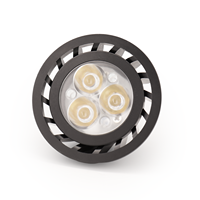 Ampoule LED basse tension 12V LT1016E compatible avec l'éclairage paysager, étanche pour jardin extérieur, allée, patio