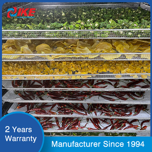 Máy khử nước công nghiệp Máy sấy nho Máy sấy trái cây rồng thực phẩm bơm nhiệt CE dehydrator 220V - Product Image 2
