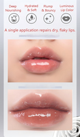 Gloss à lèvres végétalien personnalisé à marque privée, hydratant, brillant, à base d'huile, avec acide hyaluronique et feuille d'or pour un effet éclatant et nourrissant