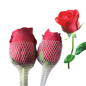 Nông nghiệp Vườn Ươm hoa cắt nhựa <span class=keywords><strong>Net</strong></span> nhựa Rose Bud bọc lưới/Rose Bud tay áo <span class=keywords><strong>Net</strong></span> - Product Image 6