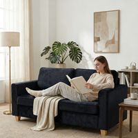 Canapé-lit pliable 2 places multifonctionnel intégré pour salon avec matelas et housse amovible lavable