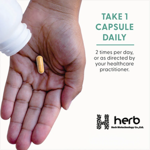 Complément alimentaire Coenzyme Q10 en poudre en vrac, capsules molles CoQ-10 pour adultes, marque privée ODM/OEM - Product Image 4