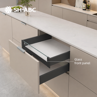 Boîte à tiroirs double à extension complète en acier fin avec fermeture amortie pour cuisine, chambre et salle de bain