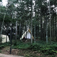 Tente de safari en toile de luxe imperméable en PVC pour le glamping en plein air, tente de forme de voile pour hôtel, tente de camping pour complexe hôtelier