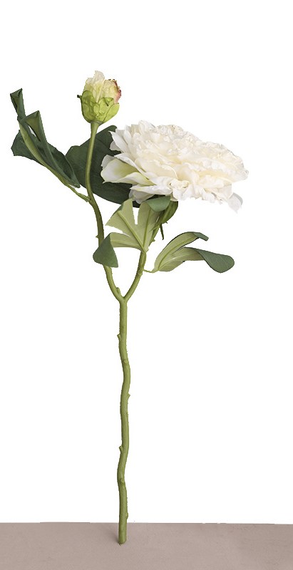 Blanc