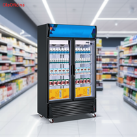 Congélateur commercial à basse température, congélation profonde pour le stockage des aliments congelés