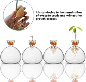 Jarrón grande y moderno con bombilla de cristal transparente para interiores, <span class=keywords><strong>maceta</strong></span> hidropónica para macetas para amantes de la jardinería, florero de semillas de bellota, <span class=keywords><strong>aguacate</strong></span> - Product Image 3