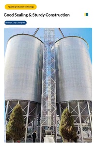 Silo à alimentation en acier galvanisé durable de 20 tonnes, <span class=keywords><strong>tour</strong></span> de stockage de céréales résistante aux intempéries pour l'équipement d'élevage avicole et bovin - Product Image 3