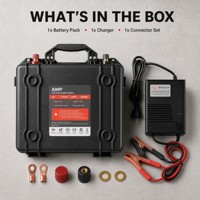 Batterie LiFePO4 25,6V 24V 100Ah avec BMS intelligent pour bateaux, navires, véhicules récréatifs et stockage d'énergie
