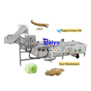 Máquina de branqueamento a vapor Baiyu para equipamentos de branqueamento de água de frutas e legumes