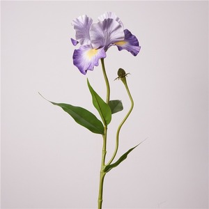 <span class=keywords><strong>Iris</strong></span> Artificial Morado de Alta Calidad MSH, Pieza Decorativa para Sala de Estar - Product Image 6