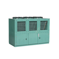Almacenamiento de habitaciones antiguas Refrigeración industrial Mini 2hp Compresor de desplazamiento Unidades de condensación Walk In Freezer