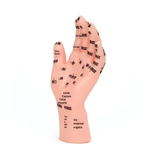 Modelo de Masaje Manual para Niños, 17 cm, Material de PVC, Reflexología, Puntos de Acupuntura, Masaje Pediátrico, Terapia de Meridianos, Referencia para el Hogar - Product Image 3