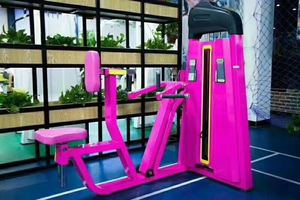 Entraîneur de rangée verticale ASJ-S805 2025-Renforcer les muscles du dos, équipement de fitness professionnel, outil d'entraînement efficace - Product Image 2