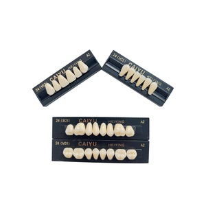 Source d'alimentation manuelle de l'usine CAIYU certifié CE ISO deux couches de <span class=keywords><strong>dents</strong></span> en résine synthétique ensemble complet de <span class=keywords><strong>dents</strong></span> en résine <span class=keywords><strong>composite</strong></span> - Product Image 3