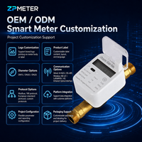 Compteur d'eau ultrasonique domestique OEM personnalisé IP68, neuf, intelligent, numérique, haute performance, mesure précise, durée de vie de 12 ans