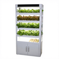 Serre intérieure automatique NFT, système hydroponique vertical, étagère de culture de graines de légumes multicouche