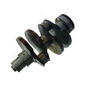 Prix d'usine, haute qualité, pièce de montage moteur diesel personnalisée pour camion, vilebrequin de moteur moulé pour Deutz F2L912 04152591 - Product Image 1