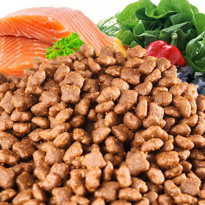 Commercio all'ingrosso cibo per gatti per cani secco ad alto contenuto proteico OEM marchio privato produzione fornitura all'ingrosso di alimenti per animali domestici di fiducia produttore - Product Image 1