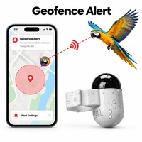 Traceur GPS pour pigeons à faible MOQ, commande d'échantillon, localisateur pour importateurs débutants avec lot d'essai de cinq pièces et échantillonnage rapide