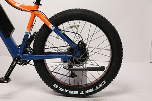 TXED 250W moteur de moyeu arrière cadre en alliage de haute qualité vélo électrique de montagne 36V batterie au Lithium dérailleur Tube puissant - Product Image 4