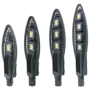 AC110V 220V 가로등 IP65 방수 야외 Led 홍수 빛 산업 정원 광장 고속도로 50W/100W 가로등 LED