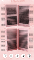 Aesphynome Bulu Mata Sintetis Model Cluster 10 Segmen C D Curl Manga Volume Bebas Kekejaman Hewan Natural Hitam Matte Gelap Logo Kustom