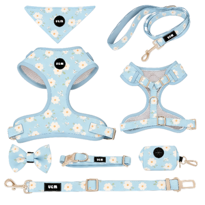 Nuovo Design <span class=keywords><strong>2026</strong></span>: Set di Guinzaglio, Collare e Pettorina in Neoprene per Cani, Personalizzabile con Logo, Senza Strappi, per Addestramento - Product Image 2