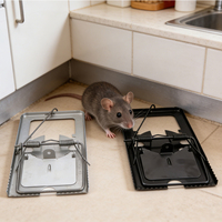 Piège à souris en métal robuste avec double ressort pour intérieur et extérieur, réutilisable, plaque en fer, attrape-rats, tueur de rongeurs