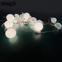 Ampoules LED étanches IP66, 6 SMD5050, blanc chaud, avec couvercle de 50mm, 20 pièces/chaîne, DC12V D40, pour éclairage paysager
