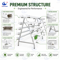 Système d'agriculture verticale hydroponique NFT à étages pour serre, économiseur d'eau, prix usine ChenChao