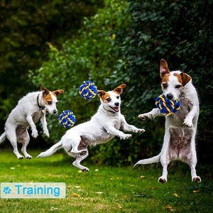 Köpek oyuncağı çiğnemek oyuncak setleri sert köpek oyuncak yıkılmaz Tug-of-savaşı sıkıntı diş temizleme diş bakımı stres giderici oyuncaklar - Product Image 5