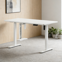 Table de bureau électrique réglable en hauteur avec moteur, mobilier de bureau OEM, vente en gros