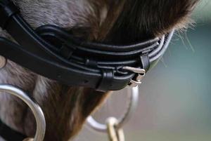 Brida de caballo de charol Mega Bling Wave Brow Band Heavy Padded Anatomic Air Pressure Headpiece Quality Horse Proveedor - Product Image 4