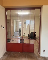 Ventanas de Acero de Estilo Francés, Hechas a Medida, Eficientes Energéticamente, con Aislamiento Térmico, para Divisiones de Oficina y Uso Exterior, Estilo Sídney