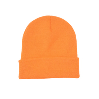 Offre Spéciale hiver personnalisé conception plaine plastique recyclé RPET FIL tricoté beanie chapeau