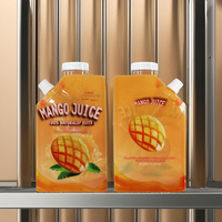 Pochettes souples verticales en plastique et aluminium avec bec verseur pour emballage alimentaire – 100ml, 150ml, 200ml, 250ml, 300ml, 400ml, 500ml