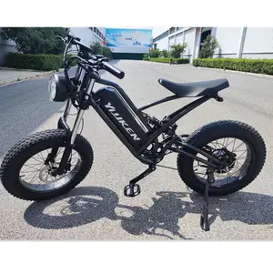 Elektromotor rad für Erwachsene 1000W Elektro fahrrad 36V 48V 60V 250W 350W 500W 750W 1000W Fett reifen E-Bike E-Bike Elektro fahrrad