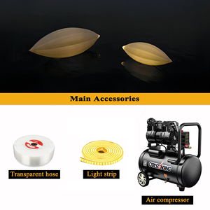 Globo Inflable Publicitario de PVC con Forma de Semilla y Luz LED Decorativa / Semilla Luminosa con Sistema de Monitoreo - Product Image 6