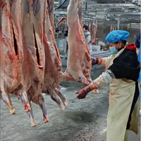 Machine automatique d'abattage de moutons et de chèvre avec le système de dissimulation et de pelage de peau
