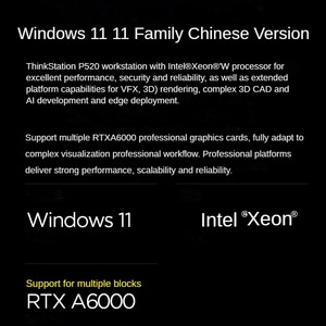 Disponibile Lenovo ThinkStation P520 Tower Workstation Grafica Desktop con Processore Xeon Serie W, Computer per Modellazione 3D e Design - Product Image 3