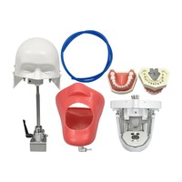 Simulateur de formation dentaire, tête de mannequin fantôme avec modèle de dents, consommables dentaires pour la pratique