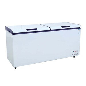 Congélateur Commercial Compact, Réfrigérateur-Congélateur Double Usage, Congélateur à Choc Rapide, Réfrigérateur - Product Image 1