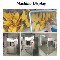Doosvormige groente- en fruitdroger, mango, kleine magnetron vacuümdroger
