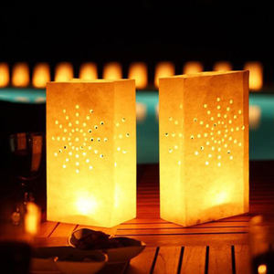 ที่กำหนดเอง Luminary ทนไฟถุงกระดาษเทียนสำหรับงานแต่งงาน/วันเกิด/พรรค/คริสต์มาสชุดของขวัญคริสต์มาส/ฮาโลวีน/วาเลนไทน์ S <span class=keywords><strong>Day</strong></span> - Product Image 6