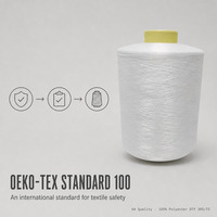 Fil à tricoter 100 % polyester DTY 100/144 de haute qualité, très demandé, pour chaussettes, écologique, anti-boulochage, anti-bactérien, certifié Oeko-Tex, brut